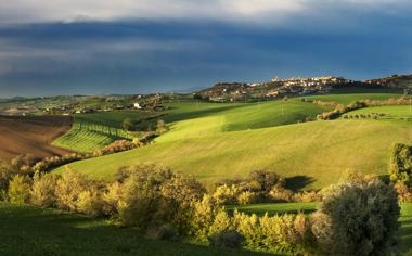 灰熊队录像 NBA常规赛 对战vs快船队回放 2023年11月13日 04:30比赛视频完整直播回看