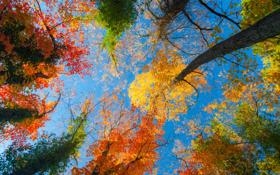 阿尔梅里亚队录像 西甲第11轮 对战vs拉斯帕尔马斯队回放 2023年10月28日 20:00比赛视频完整直播回看