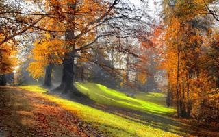 里尔队录像 法甲第10轮 对战vs摩纳哥队回放 2023年10月29日 22:00比赛视频完整直播回看