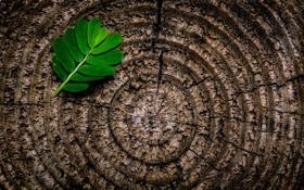 阿尔及利亚队录像 非洲杯小组赛E组第1轮 对战vs苏丹队回放 2025年12月24日 23:00比赛视频完整直播回看