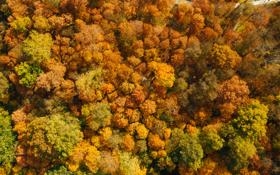 巴塞罗那队录像 欧冠小组赛H组第3轮 对战vs顿涅茨克矿工队回放 2023年10月26日 00:45比赛视频完整直播回看