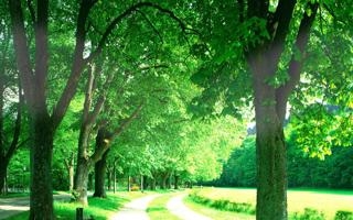 摩纳哥队录像 法甲第6轮 对战vs尼斯队回放 2023年09月23日 03:00比赛视频完整直播回看