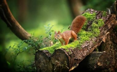 流浪者队录像 欧联杯小组赛C组第1 对战vs贝蒂斯队回放 2023年09月22日 03:00比赛视频完整直播回看