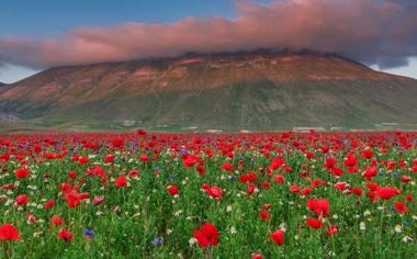 勒阿弗尔队录像 法甲第12轮 对战vs摩纳哥队回放 2023年11月12日 04:00比赛视频完整直播回看