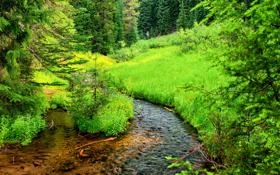 上海海港队录像 中超第18轮 对战vs沧州雄狮队回放 2023年07月21日 19:35比赛视频完整直播回看