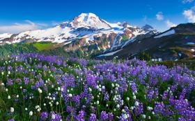 立陶宛男篮队录像 男篮欧锦赛小组赛 对战vs德国男篮队回放 2022年09月04日 20:30比赛视频完整直播回看