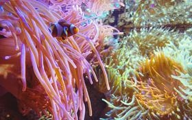 山东泰山队录像 亚冠小组赛F组 对战vs大邱FC队回放 2022年04月15日 19:00比赛视频完整直播回看