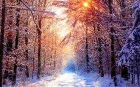 利雅得胜利队录像 阿拉冠小组赛 对战vs利雅得青年人队回放 2023年07月29日 03:00比赛视频完整直播回看