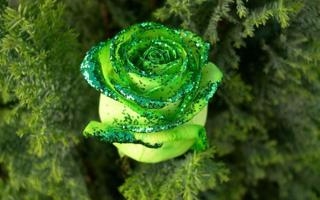 巴塞罗那队录像 西班牙超级杯半决赛 对战vs毕尔巴鄂竞技队回放 2026年01月08日 03:00比赛视频完整直播回看