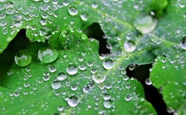 阿塞拜疆队录像 欧洲杯预选赛第8轮 对战vs奥地利队回放 2023年10月17日 00:00比赛视频完整直播回看