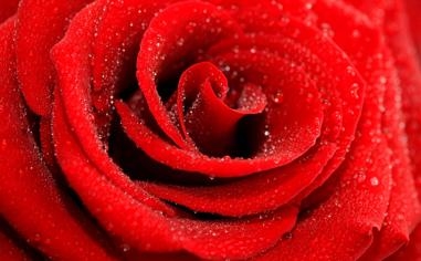 瓦舍罗队录像 世界网球洲际对抗赛 对战vs张之臻队回放 2025年12月28日 比赛视频完整直播回看