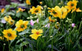 朗斯队录像 欧冠小组赛B组第2轮 对战vs阿森纳队回放 2023年10月04日 03:00比赛视频完整直播回看