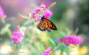 上海嘉定汇龙队录像 中甲第6轮 对战vs苏州东吴队回放 2023年05月20日 19:30比赛视频完整直播回看