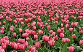 狼队录像 英超第8轮 对战vs阿斯顿维拉队回放 2023年10月08日 21:00比赛视频完整直播回看