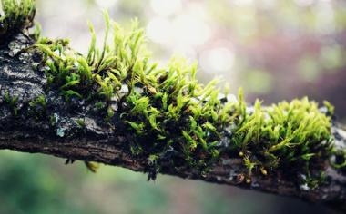 布拉加队录像 欧冠小组赛C组第3轮 对战vs皇家马德里队回放 2023年10月25日 03:00比赛视频完整直播回看