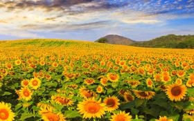 巴西男篮队录像 男篮世界杯16强复赛 对战vs加拿大男篮队回放 2023年09月01日 21:30比赛视频完整直播回看