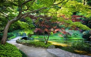 格拉斯哥流浪者队录像 欧联杯小组赛A组 对战vs里昂队回放 2021年09月17日 03:00比赛视频完整直播回看