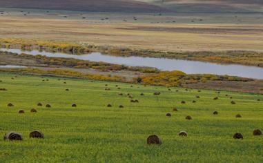 阿森纳队录像 欧联杯1/4决赛首回合 对战vs斯拉维亚队回放 2021年04月09日 03:00比赛视频完整直播回看