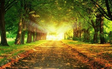 葡杯赛程-巴西杯赛程直播