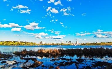 迈阿密国际队录像 联盟杯1/16决赛 对战vs奥兰多城队回放 2023年08月03日 09:35比赛视频完整直播回看