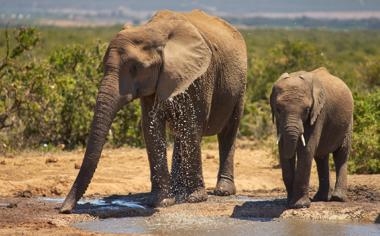 奥地利女足队录像 女足欧洲杯第2轮 对战vs北爱尔兰女足队回放 2022年07月12日 比赛视频完整直播回看