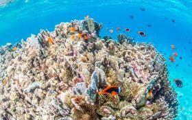 都灵队录像 意甲第19轮 对战vs乌迪内斯队回放 2026年01月08日 03:45比赛视频完整直播回看