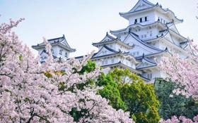 法甲联赛尼斯客场0-0战平蒙彼利埃，巴黎圣日耳曼有机会取得领先