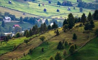 阿媒：恩佐和帕拉西奥斯将亮相圣马丁广场，接受球迷致敬