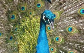 录像 2003年NBA全明星正赛 加内特37分夺MVP 对战vs回放 2020年03月22日 比赛视频完整直播回看