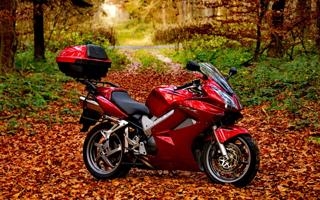 斯特拉斯堡队录像 法甲第5轮 对战vs蒙彼利埃队回放 2023年09月17日 21:00比赛视频完整直播回看