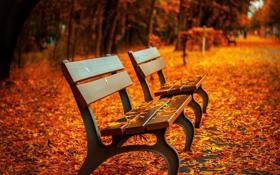 奥沙利文队录像 斯诺克国际锦标赛第4轮 对战vs麦克吉尔队回放 2023年11月08日 23:11:33比赛视频完整直播回看