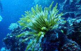 特鲁姆普队录像 斯诺克北爱尔兰公开赛第1轮 对战vs肯德里克队回放 2023年10月23日 02:32:34比赛视频完整直播回看