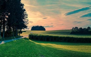 亚洲世青赛名额：韩国、乌兹、伊拉克、印尼，日本&约旦争最后1席