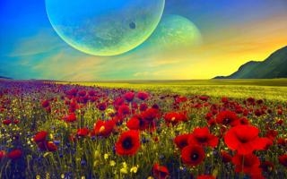 斯特拉斯堡队录像 法甲第7轮 对战vs朗斯队回放 2023年09月30日 03:00比赛视频完整直播回看